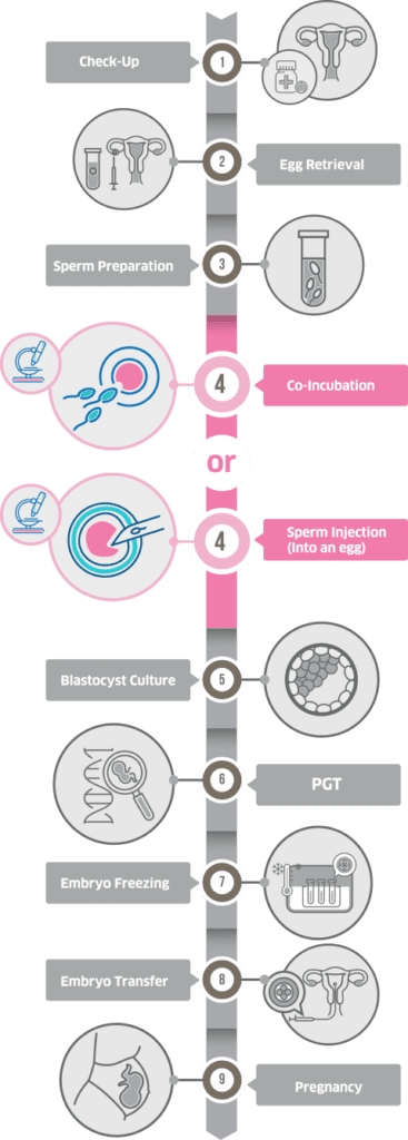 IVF/ICSI | Superior A.R.T.