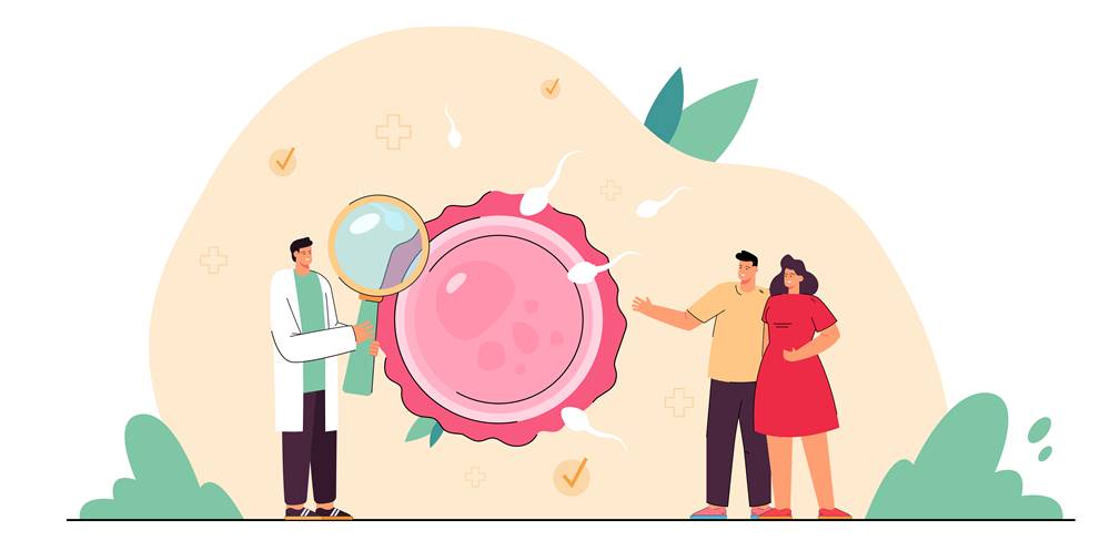 A Simple, Step-by-Step Guide to the IVF Process