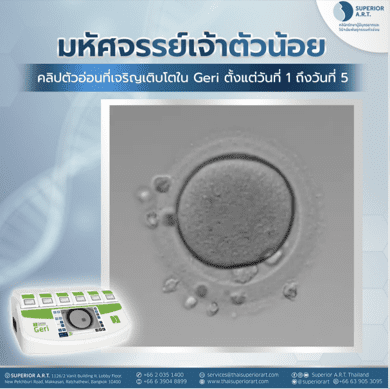 มหัศจรรย์เจ้าตัวน้อย มาดูการเจริญเติบโตของตัวอ่อนในเครื่อง Geri® ตั้งแต่วันที่ 1 ถึง วันที่ 5