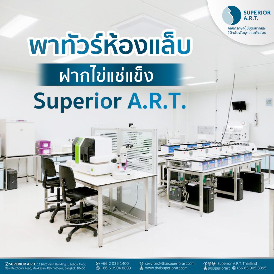 Exclusive! พาไปดูขั้นตอนหลังจากการเก็บไข่ เก็บแล้วเอาไปไหนนะ! 