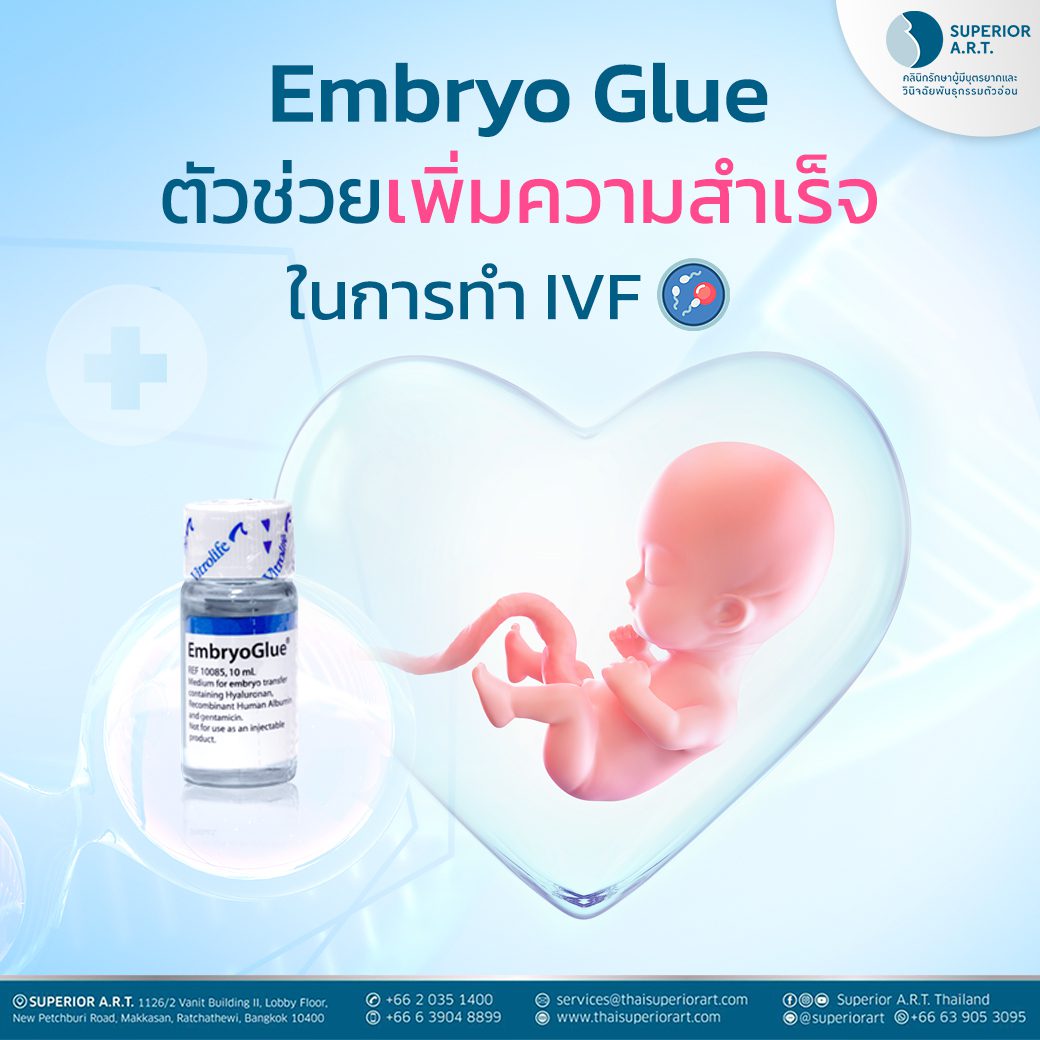 Embryo Glue กาวติดตัวอ่อน ช่วยเพิ่มความสำเร็จการทำเด็กหลอดแก้ว