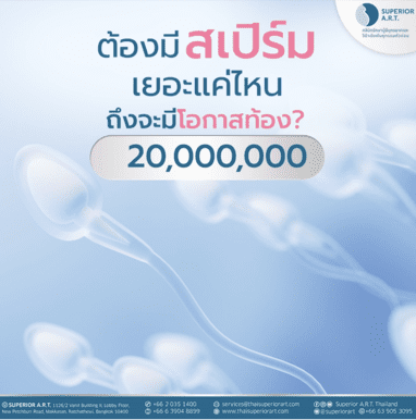 ต้องมีสเปิร์มเยอะแค่ไหน ถึงจะมีโอกาสท้อง