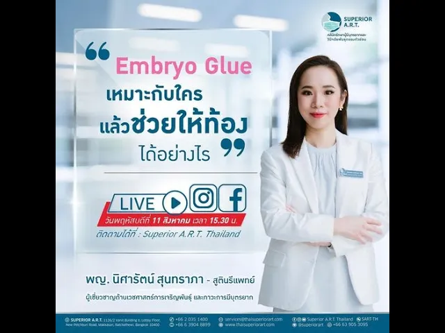 𝐒𝐮𝐩𝐞𝐫𝐢𝐨𝐫 𝐀.𝐑.𝐓. 𝐋𝐈𝐕𝐄 : 🅔🅟.43 ❝ 𝗘𝗺𝗯𝗿𝘆𝗼 𝗚𝗹𝘂𝗲 เหมาะกับใคร แล้วช่วยให้ท้องได้อย่างไร ❞