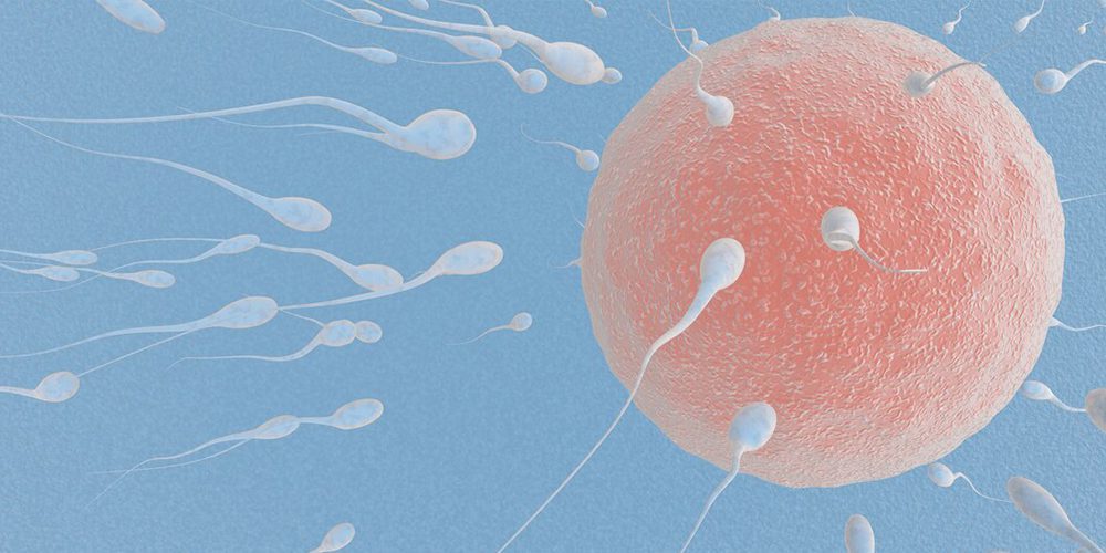 IUI treatment photo