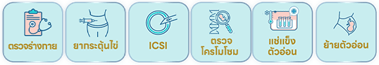 ICSI Prestige Package slide process