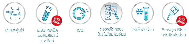 ICSI Lite Package slide process