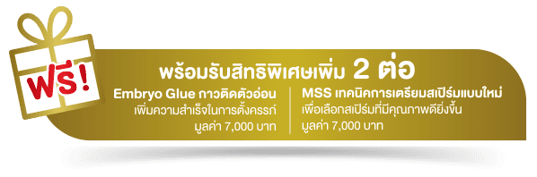 ICSI Lite Package slide free MSS and Embryo Glue