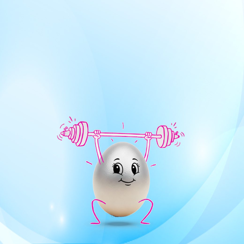 Egg Ready Checkup 2026 background mobile