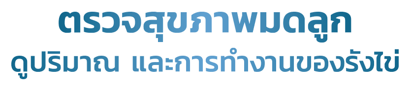 Egg Ready Checkup 2026 pro1