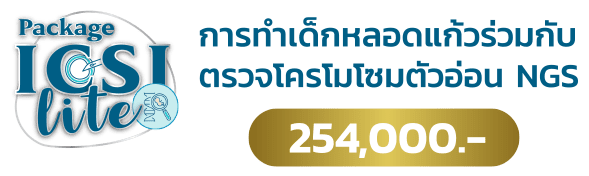 แพ็กเกจทำเด็กหลอดแก้ว ICSI Lite Package 2026 pro2