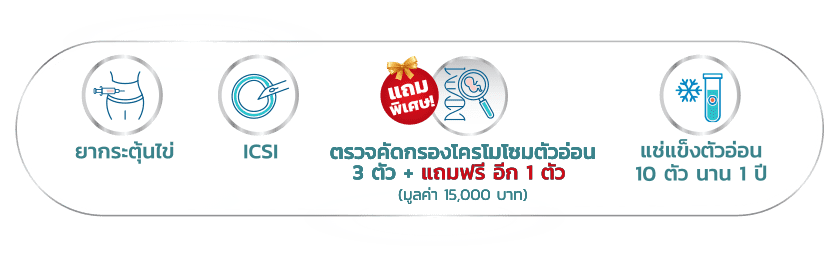 แพ็กเกจทำเด็กหลอดแก้ว ICSI Lite Package 2026 pro4
