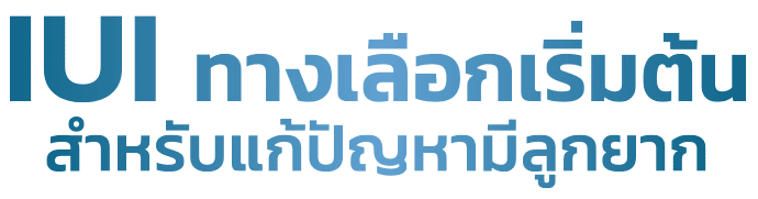 IUI Package 2026 pro1