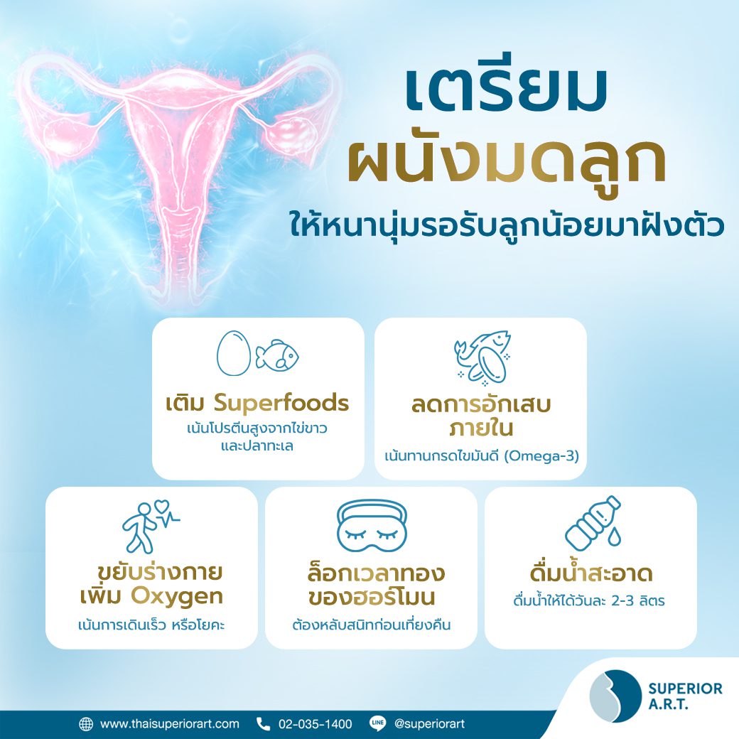 เตรียมผนังมดลูก