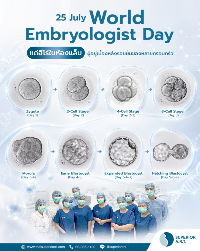นักวิทยาศาสตร์เพาะเลี้ยงตัวอ่อน embryologist
