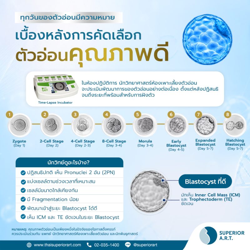 ตัวอ่อนคุณภาพดี